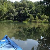 Kim Bishop's photo
