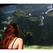 Nastya Belyaeva's photo