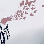 Megan Lucia's photo