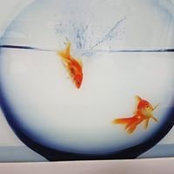Jenny Stein's photo