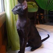 Fabienne Rollais's photo