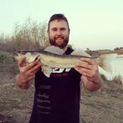 Matt Schiebout's photo