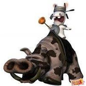 Foto von Did Xour