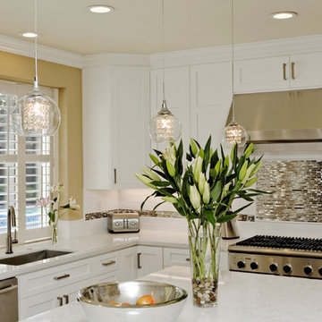 Danville Contemporary Kitchen