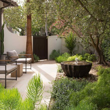 Landscape Ideas