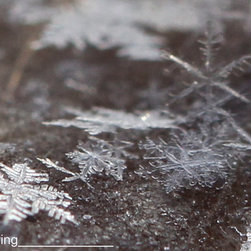 Perfect Flakes - Prints And Posters