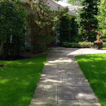 Design around existing trees