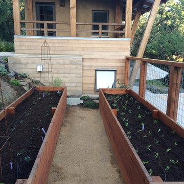 Raised bed food garden | Before and After