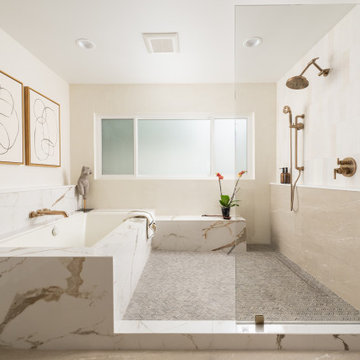 Modern Retreat: A Wet Room Transformation in Laguna Niguel