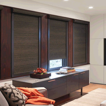 Media Room Framed Roller Shades