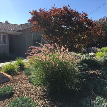 Los Altos No Lawn, Low Water