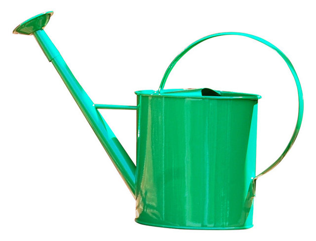 Metal 1 Gallon Watering Can With Long Spout Traditional Metal 1 Gallon Watering Can With Long Spout Green