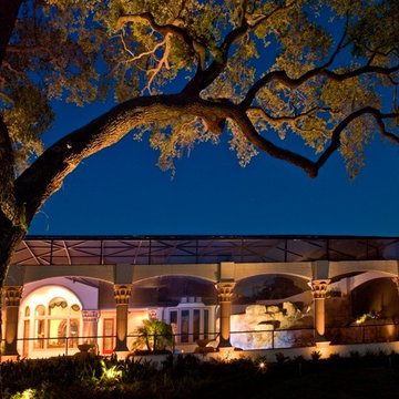 Pool and Oak Tree Lighting