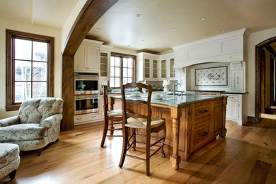 Kitchen - transitional kitchen idea in Denver