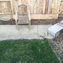 Landscape Ideas