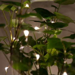 Battery Operated LED Fairy Lights - Outdoor Lighting