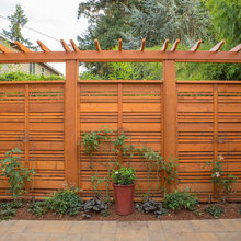 Backyard Project