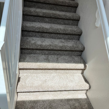 Whole Home Carpet Install: Dream Weaver Deep Thistle