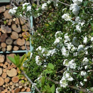 Hospiltable,warm and abundant : residental landescape design in Upper Galilee