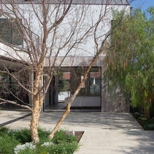 Courtyards and privacy screens