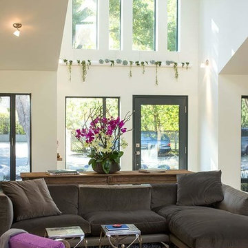Juno St. Tiburon