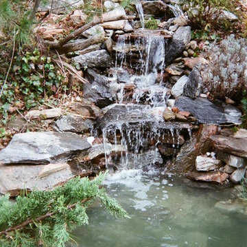 Rock Castle's Landscaping Projects