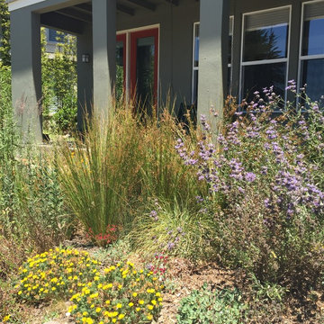 Award Winning Habitat Garden