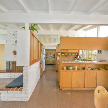 Anaheim Mid-Century Modern in Full Color