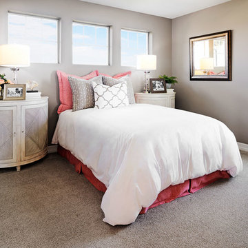 Coral Model Home in Colorado