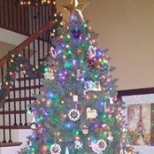 Lynnore Hamblen's photo