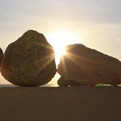 Vicki Long's photo