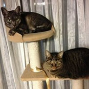 Hideyo Ikeda's photo