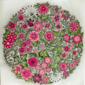Laura Vives's photo