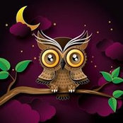 Kelly Wulf's photo
