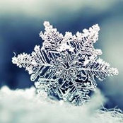 Matt Everson's photo