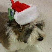 Debby Closey's photo