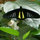 jennifer_hazen6776