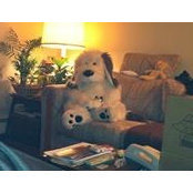 Tony Armelin's photo