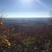 Barb Benson's photo