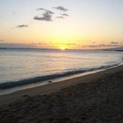 Andrea Watson's photo