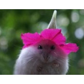 Melinda Holder's photo