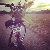 Dee Dee Swiecki's photo