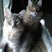 Carol Place's photo