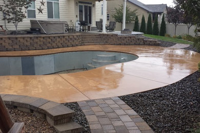 Diseño de piscina natural clásica de tamaño medio tipo riñón en patio trasero con losas de hormigón