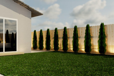 サクラメントにあるトロピカルスタイルのおしゃれな庭の写真