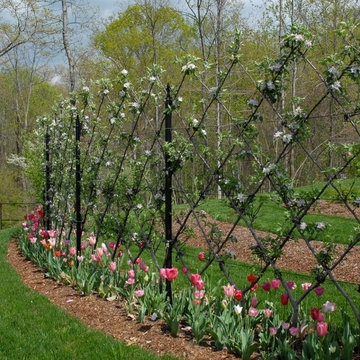 Belgian Fences