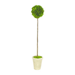 French Market 10394 35.5" Preserved Boxwood Ball Topiary - Artificial Plants And Trees