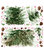 Watercolor Evergreen Peel and Stick Giant Wall Decals