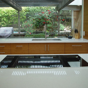 Mid Century Modern Kitchen - Cooktop + Sink (KPKM)