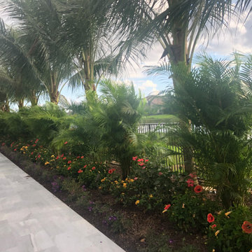 After - New Landscape around New Pool